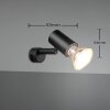Trio-Leuchten Lorenzo Muurlamp Zwart, 1-licht