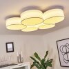Purus Plafondlamp LED Wit, 1-licht