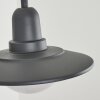 Pohei Buiten muurverlichting Antraciet, 1-licht, Bewegingsmelder