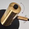 Pretoria Staande lamp Oud messing, Zwart, 5-lichts