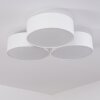 Purus Plafondlamp LED Wit, 1-licht