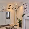 Siamado Staande lamp Zwart, 5-lichts