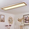Raimea Plafondpaneel LED Wit, 1-licht