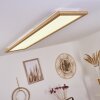 Raimea Plafondpaneel LED Wit, 1-licht