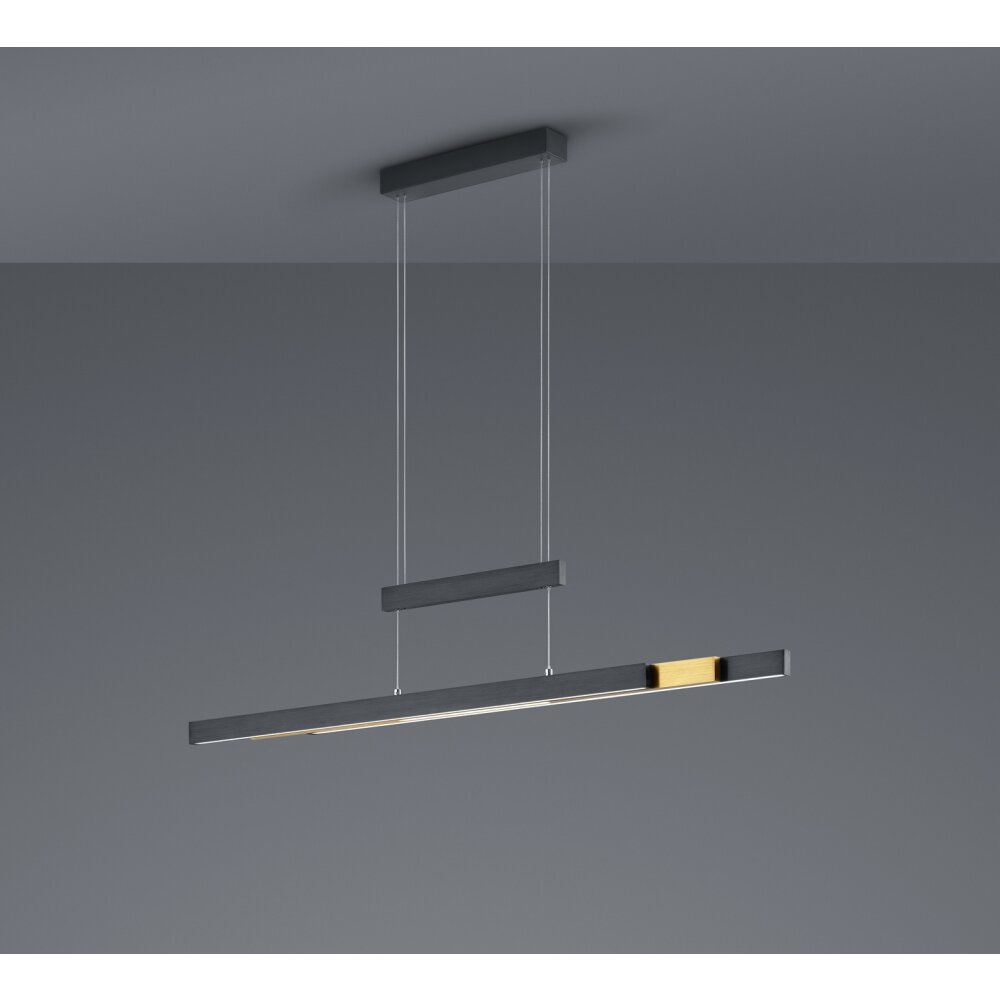 Trio-Leuchten Trajan Hanglamp LED Zwart, 1-licht