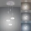 Paul-Neuhaus Q-ETIENNE Hanglamp LED Staal geborsteld, 4-lichts, Afstandsbediening