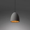 Paul-Neuhaus ETON Hanglamp Zwart, 1-licht