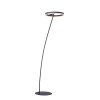Paul-Neuhaus TITUS Staande lamp Antraciet, 1-licht