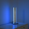 Paul-Neuhaus Q-ADRIANA Tafellamp LED Aluminium, 2-lichts, Afstandsbediening
