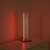 Paul-Neuhaus Q-ADRIANA Tafellamp LED Aluminium, 2-lichts, Afstandsbediening