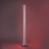 Paul-Neuhaus Q-ADRIANA Staande lamp LED Aluminium, 2-lichts, Afstandsbediening