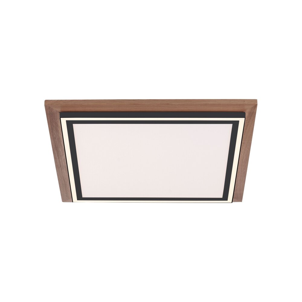 Paul-Neuhaus PALMA Plafondlamp LED Natuurlijke kleuren, Zwart, 2-lichts, Afstandsbediening main product photo