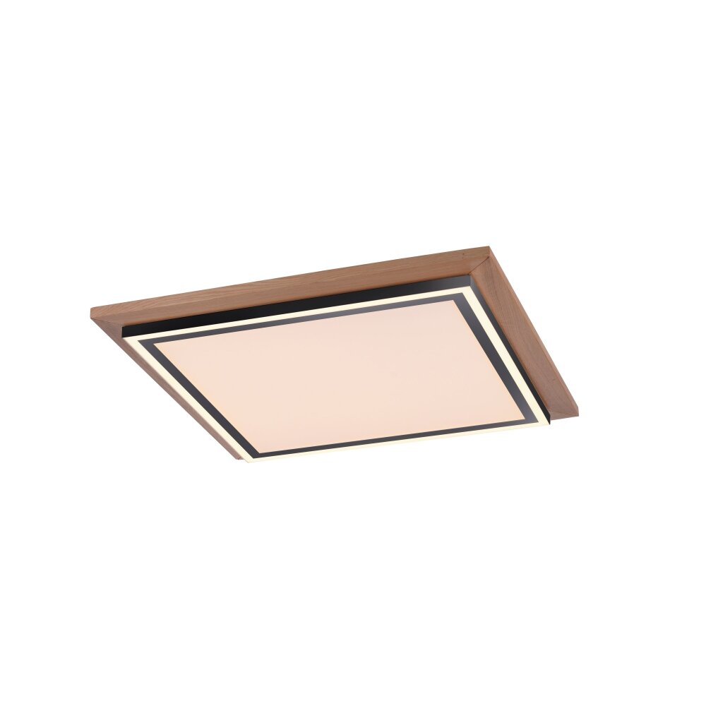 Paul-Neuhaus PALMA Plafondlamp LED Natuurlijke kleuren, Zwart, 2-lichts, Afstandsbediening