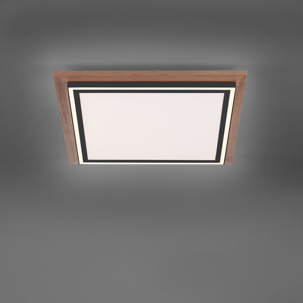 Paul-Neuhaus PALMA Plafondlamp LED Natuurlijke kleuren, Zwart, 2-lichts, Afstandsbediening