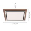 Paul-Neuhaus PALMA Plafondlamp LED Natuurlijke kleuren, Zwart, 2-lichts, Afstandsbediening