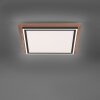 Paul-Neuhaus PALMA Plafondlamp LED Natuurlijke kleuren, Zwart, 2-lichts, Afstandsbediening