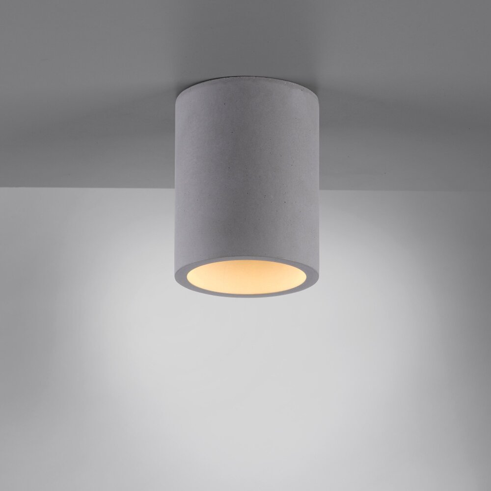 Paul-Neuhaus ETON Plafondlamp Grijs, Zwart, 1-licht main product photo