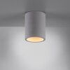 Paul-Neuhaus ETON Plafondlamp Grijs, Zwart, 1-licht