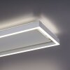 Paul-Neuhaus Q-KAAN Plafondlamp LED Staal geborsteld, 2-lichts, Afstandsbediening