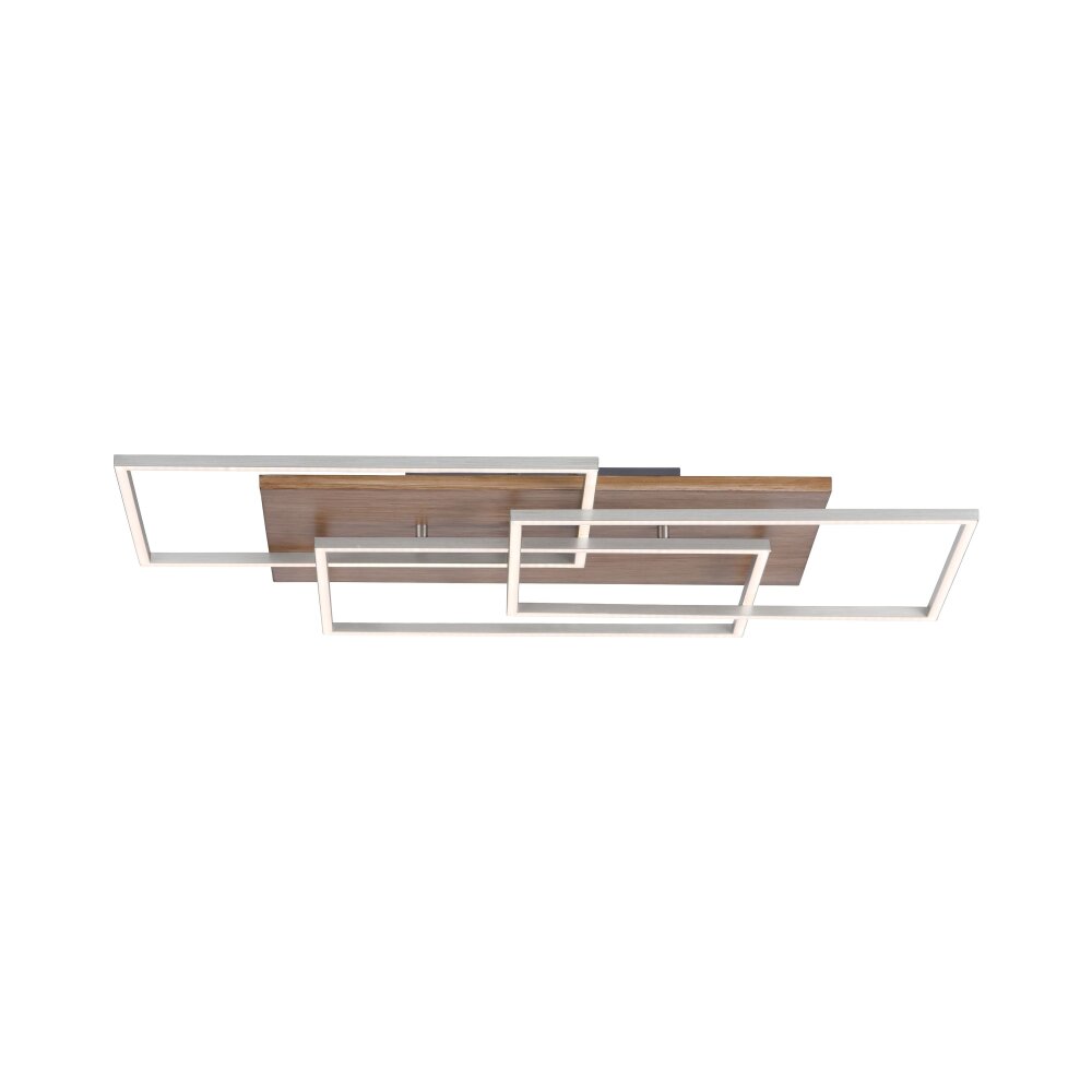 Paul-Neuhaus PALMA Plafondlamp LED Natuurlijke kleuren, Staal geborsteld, 1-licht, Afstandsbediening main product photo