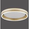 Paul-Neuhaus Q-VITO Plafondlamp LED Messing, 1-licht, Afstandsbediening