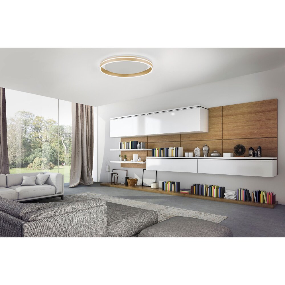Paul-Neuhaus Q-VITO Plafondlamp LED Messing, 1-licht, Afstandsbediening main product photo
