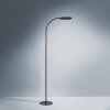 Leuchten-Direkt KELLY Staande lamp LED Zwart, 1-licht Leuchten-Direkt KELLY Staande lamp LED Zwart, 1-licht