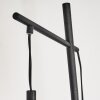 Uarau Staande lamp Zwart, 1-licht