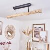 Winterthur Plafondlamp LED Zwart, 1-licht