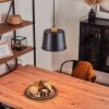 Tatodere Hanger Natuurlijke kleuren, Zwart, 1-licht