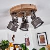 Pehefito Plafondlamp Zwart, 3-lichts