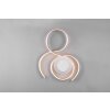 Trio-Leuchten Jive Plafondlamp LED Nikkel mat, 1-licht, Afstandsbediening