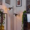 Pehefito Staande lamp Grijs, Hout donker, Zwart, 2-lichts