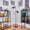 Pehefito Staande lamp Grijs, Hout donker, Zwart, 2-lichts