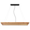 Globo ALINA Hanglamp LED Zwart, 1-licht