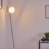 Umag Staande lamp LED roestvrij staal, 1-licht