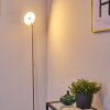 Umag Staande lamp LED roestvrij staal, 1-licht