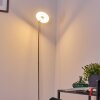 Umag Staande lamp LED roestvrij staal, 1-licht