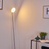 Umag Staande lamp LED roestvrij staal, 1-licht