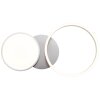 Brilliant-Leuchten Virtus Plafondlamp LED Zilver, 1-licht