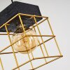 Fevaag Hanger Zwart, 1-licht