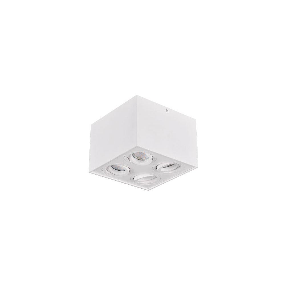 Trio BISCUIT Plafondlamp Wit, 4-lichts