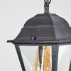 Naofe Buitenhanglamp Zwart, 1-licht