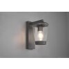 Trio-Leuchten Cavado Muurlamp Antraciet, 1-licht