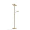 Fischer-Honsel Dent Staande lamp LED Messing, 1-licht