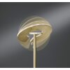 Fischer-Honsel Dent Staande lamp LED Messing, 1-licht