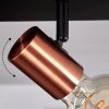 Malao Plafondlamp Roségoud, Zwart, 3-lichts