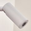 Viata Muurlamp LED Wit, 2-lichts