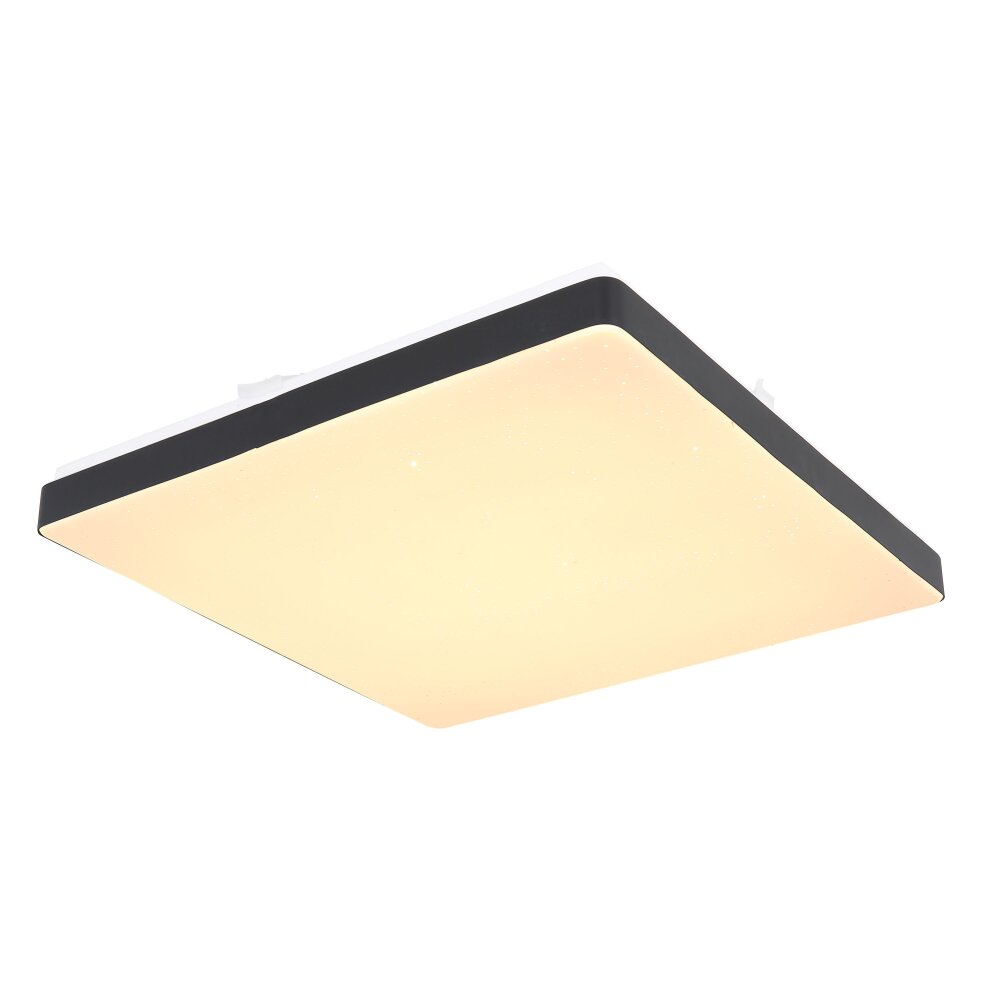 Globo RAINA Plafondpaneel LED Zwart, Wit, 1-licht main product photo