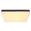 Globo RAINA Plafondpaneel LED Zwart, Wit, 1-licht